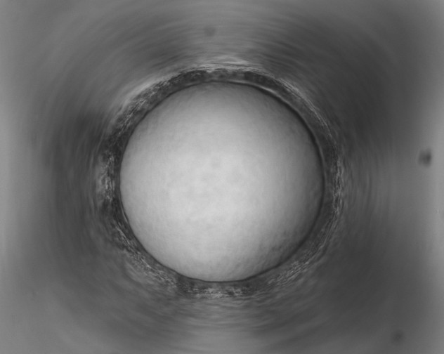 X0000116301063200912141330