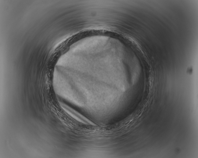 X0000116301064200912141330