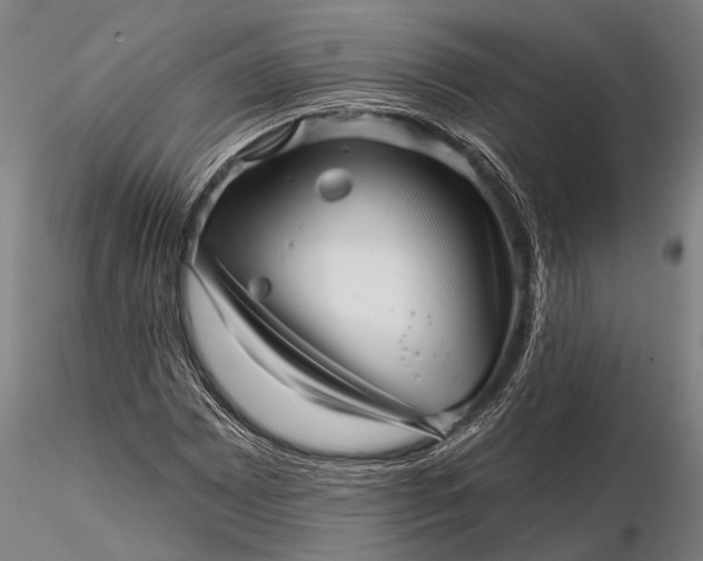 X0000116301065200912141330