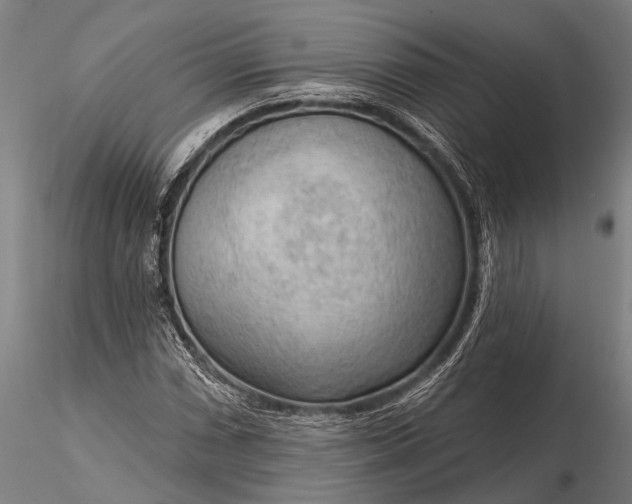 X0000116301066200912141330