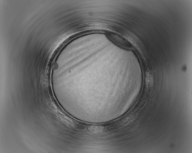 X0000116301068200912141330