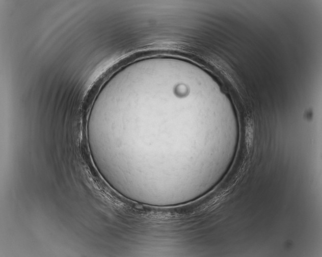 X0000116301069200912141330