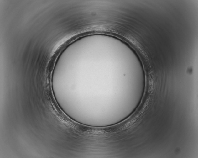 X0000116301070200912141330