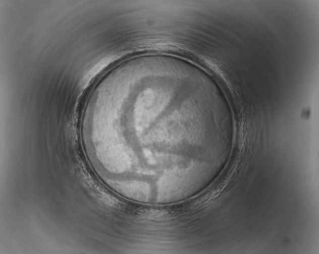 X0000116301071200912141330