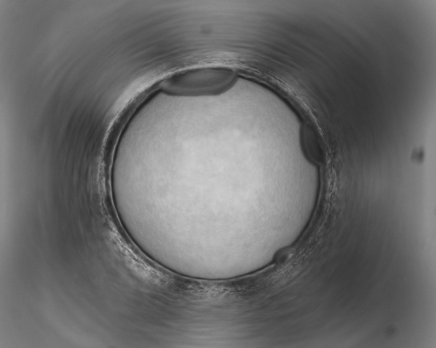 X0000116301072200912141330