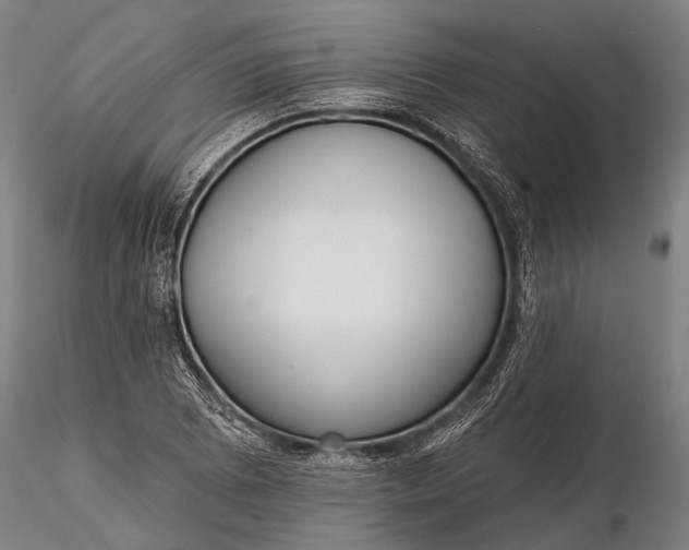 X0000116301073200912141330