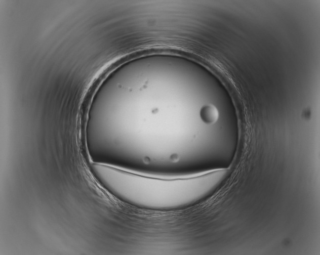 X0000116301076200912141330