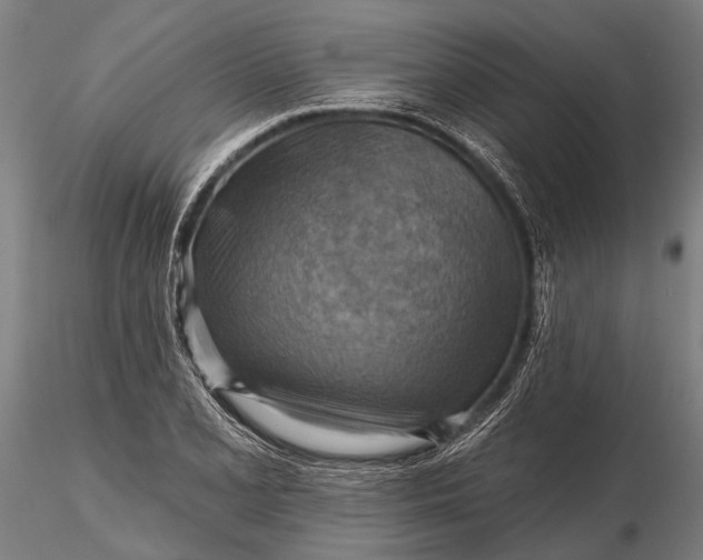 X0000116301077200912141330