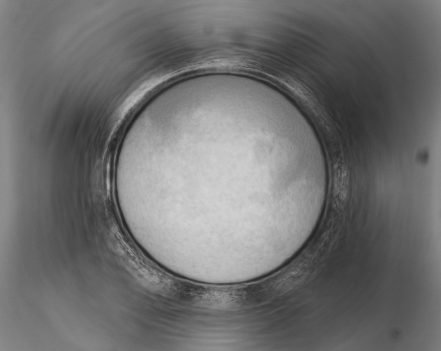 X0000116301078200912141330