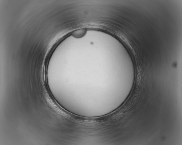 X0000116301080200912141329