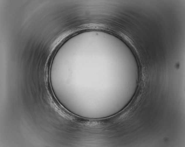 X0000116301082200912141329