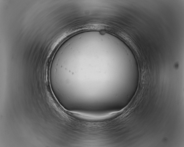 X0000116301083200912141329