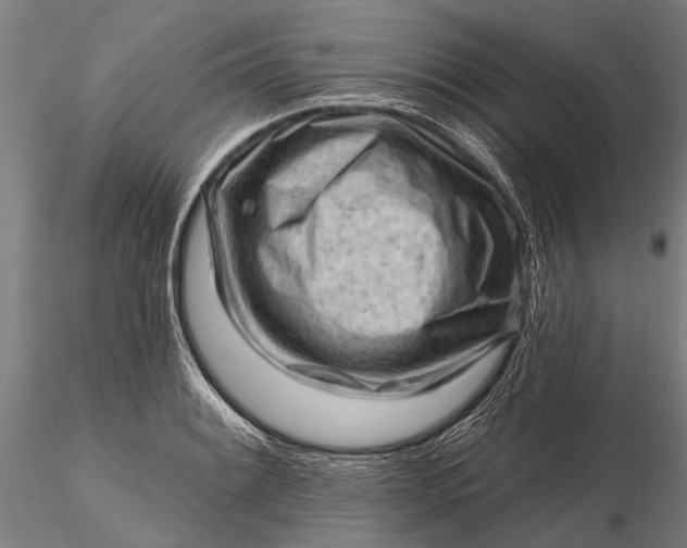 X0000116301084200912141329