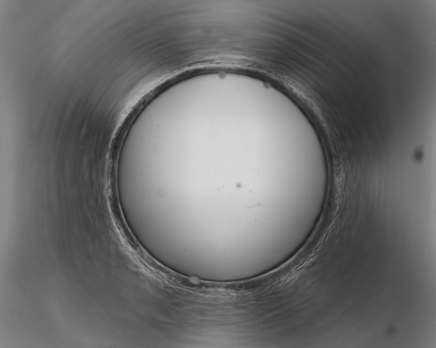 X0000116301085200912141329