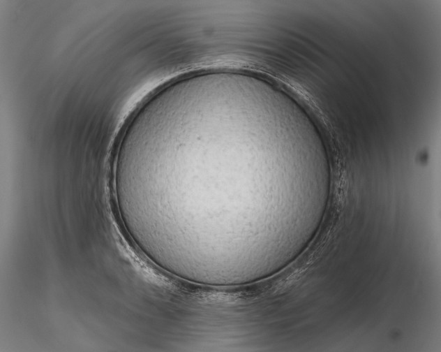 X0000116301086200912141329