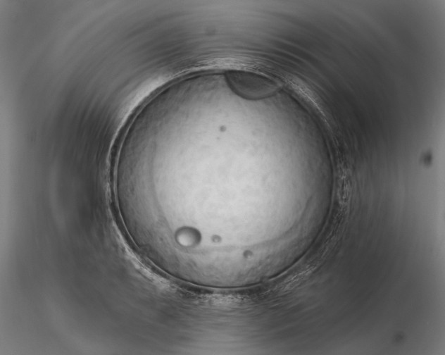 X0000116301087200912141329