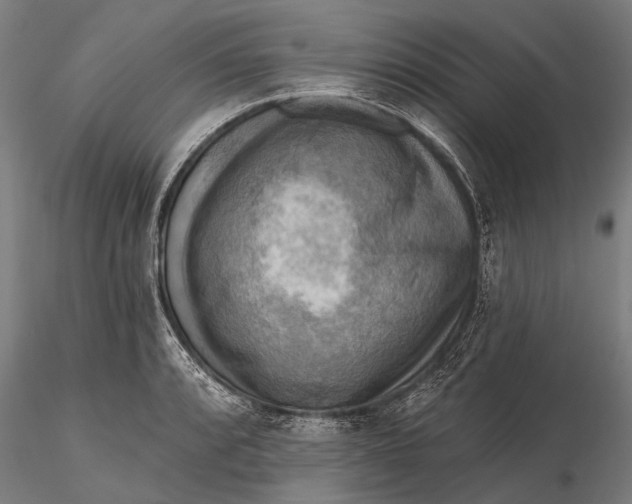 X0000116301088200912141329