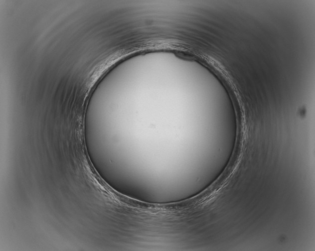 X0000116301089200912141329