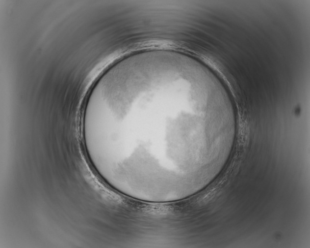 X0000116301090200912141329