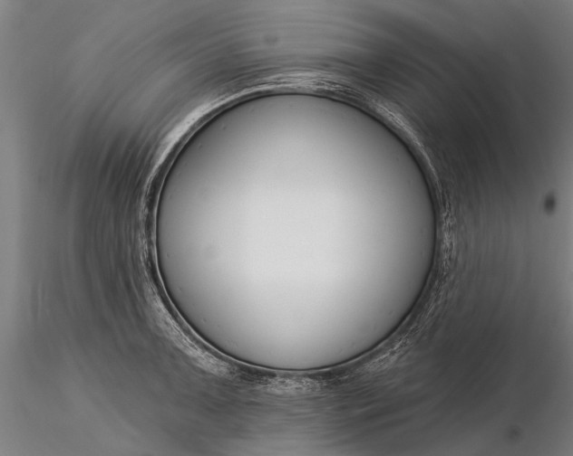 X0000116301091200912141329