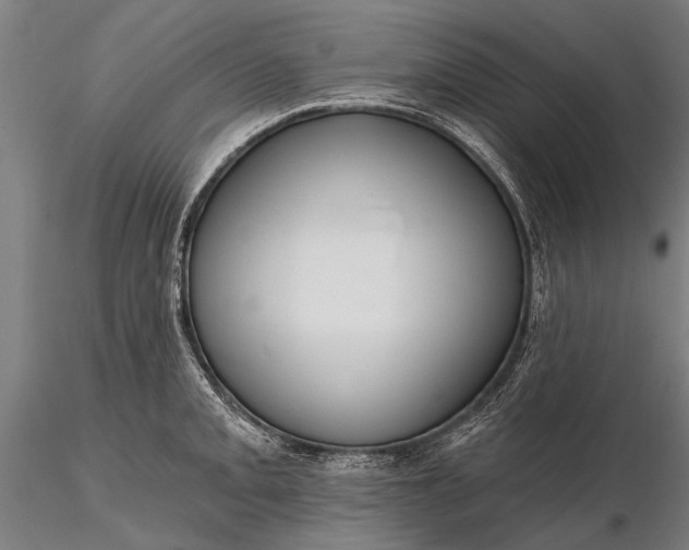 X0000116301093200912141329