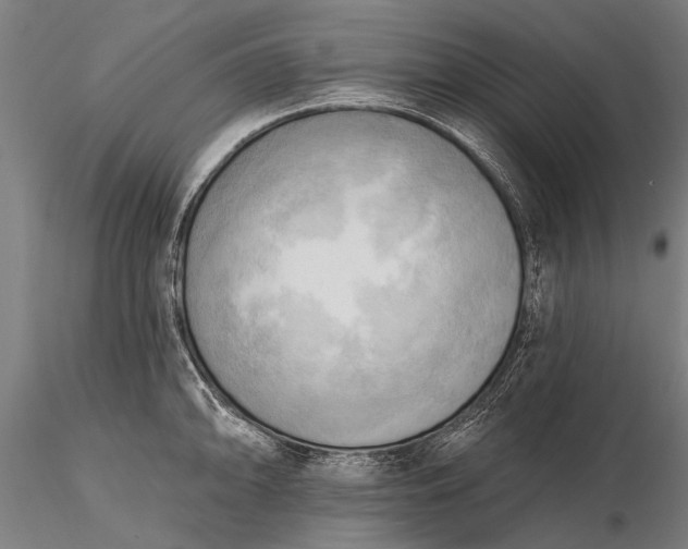 X0000116301094200912141329