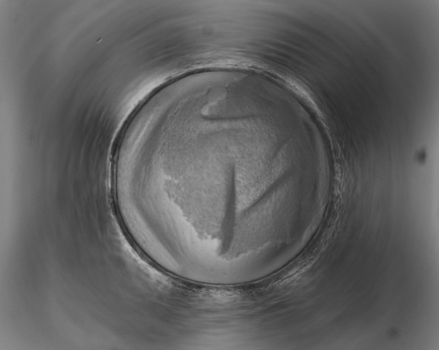 X0000116301095200912141329