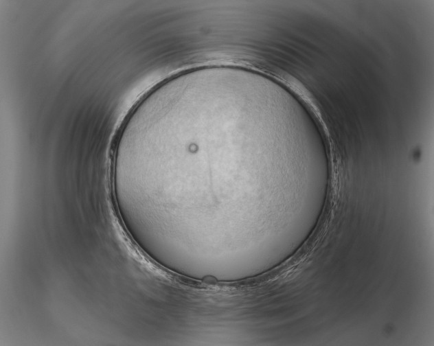 X0000116301096200912141329