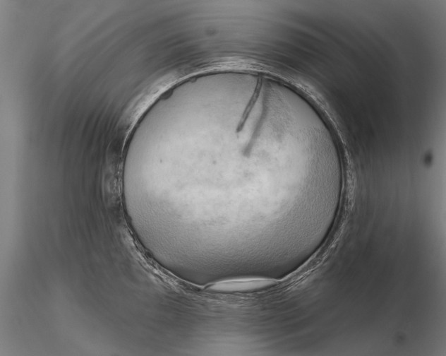 X0000116301097200912141329