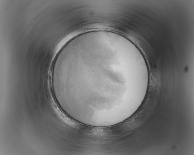 X0000116301098200912141329