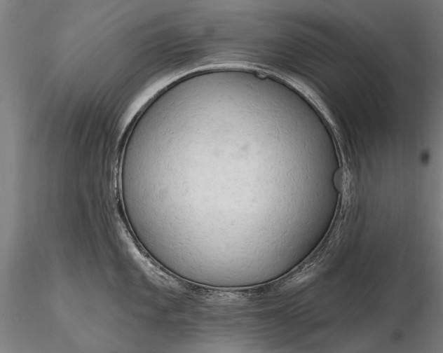 X0000116301101200912141329