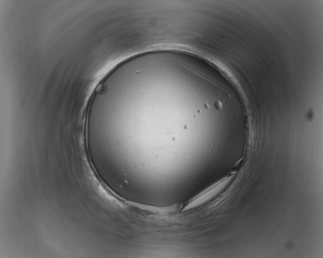 X0000116301102200912141329