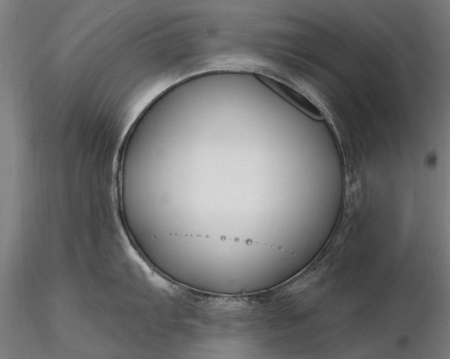 X0000116301103200912141329