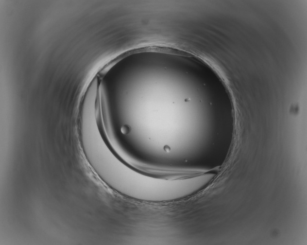 X0000116301104200912141329