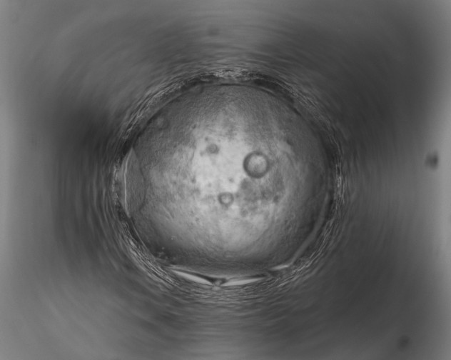 X0000116301106200912141329