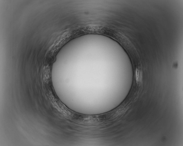 X0000116301107200912141329