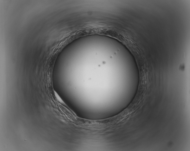 X0000116301109200912141329