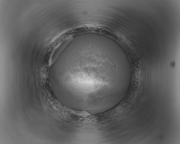 X0000116301110200912141329