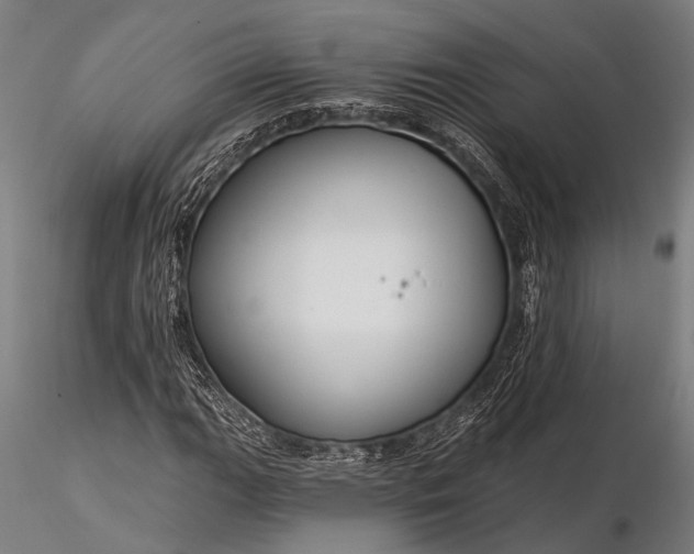 X0000116301111200912141329