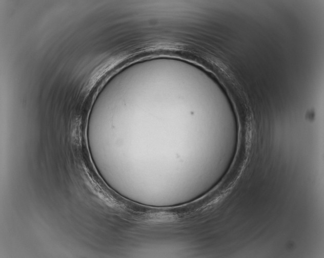 X0000116301113200912141329