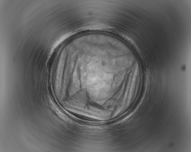 X0000116301114200912141329