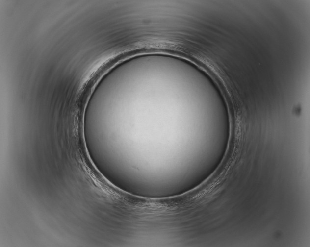 X0000116301115200912141329