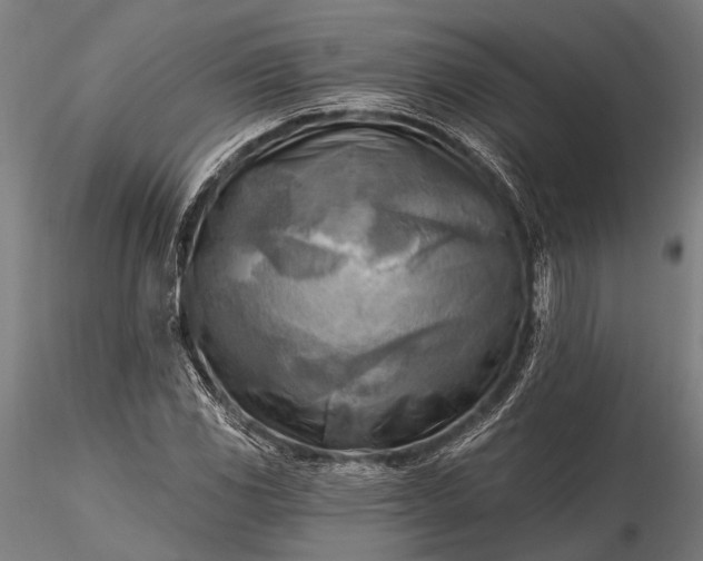 X0000116301117200912141329