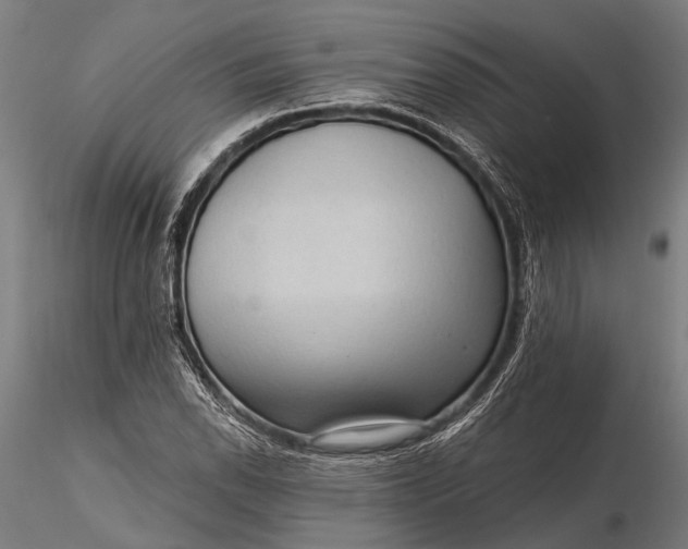 X0000116301118200912141329