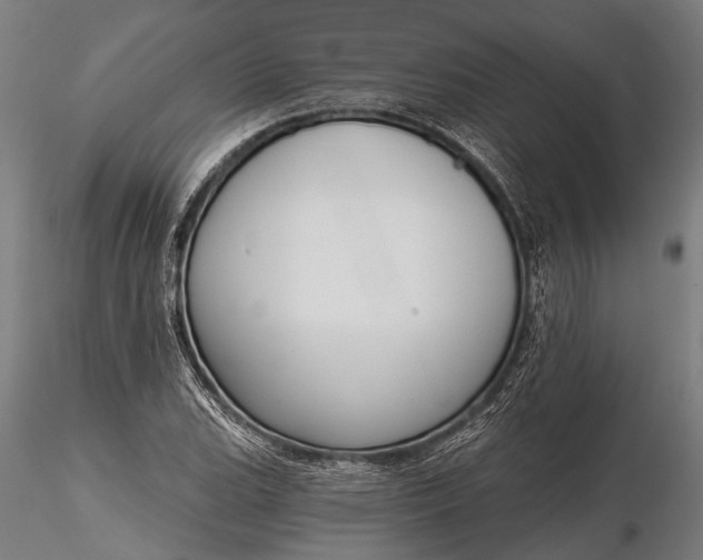 X0000116301119200912141329