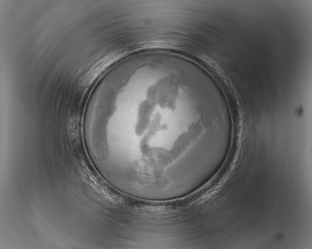 X0000116301121200912141329