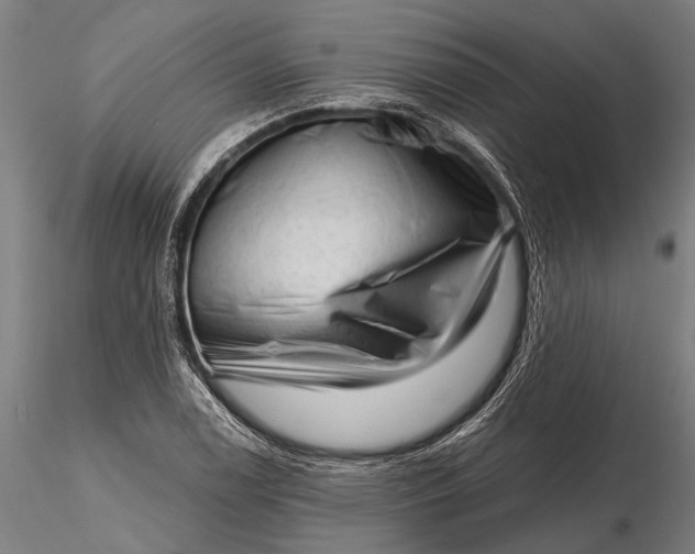 X0000116301122200912141329