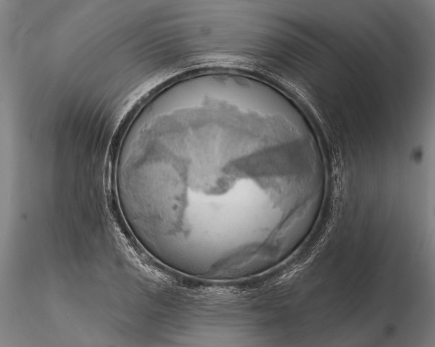 X0000116301125200912141329