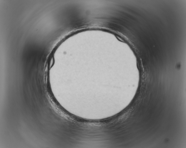 X0000116301126200912141329