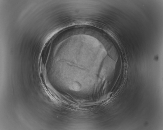 X0000116301127200912141329